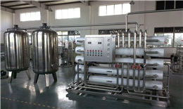 10T/H 工业�U�水讑֤�